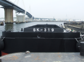 SK-319